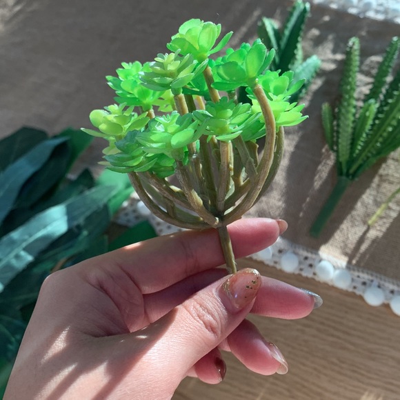 ☀️Hump Day Happiness SALE☀️ Styling fun ✨7 Pieces Plant Styling props - Picture 8 of 12